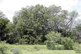 9411 Fm 86 Highway - Photo 13
