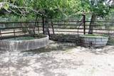 9411 Fm 86 Highway - Photo 16