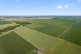 1701 County Road 424 - Photo 16