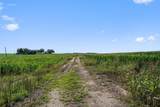1701 County Road 424 - Photo 19
