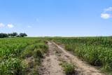1701 County Road 424 - Photo 20