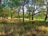 0000 Hidden Shores Rd - Photo 12