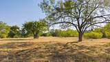 440 Chimney Valley Rd - Photo 18