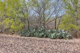 5340 Dreibrodt St - Photo 20