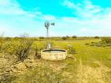 117 Private Road 541 - Photo 19
