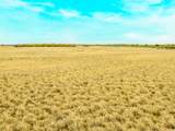 117 Private Road 541 - Photo 21