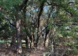 4209 Rockwood Dr - Photo 19
