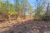 Lot 65 State Highway 21 - Photo 5