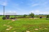 1000 County Road 458 - Photo 24