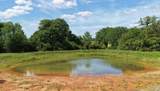 (Tract 2) Green Hill Road (+/-10.2 Acres) - Photo 7