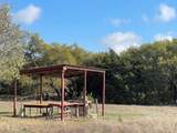 1400 Greer Lane - Photo 17