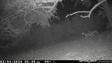 180 Robison Rd - Photo 10