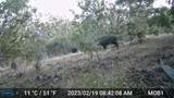 180 Robison Rd - Photo 17