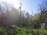851 County Road 491 - Photo 10