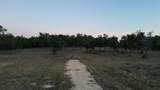 7819 Ranch To Market Road 2766 Rnch - Photo 28
