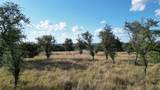 7819 Ranch To Market Road 2766 Rnch - Photo 8