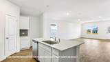393 San Juan Trl - Photo 11