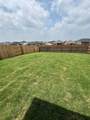 499 Tree Nut Loop - Photo 35