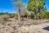1129 Lonesome Loop - Photo 33