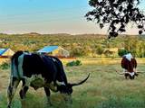 1200 Lipan Apache Run - Photo 10