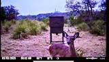 1200 Lipan Apache Run - Photo 5