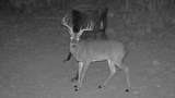 1200 Lipan Apache Run - Photo 7