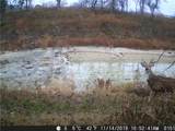 440 Chimney Valley Rd - Photo 12