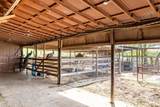 11001 State Highway 95 - Photo 31