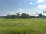 8345 Farm To Market Road 2145 - Photo 9