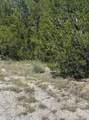 9302 Timber Trl - Photo 7