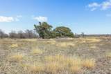 2884 Political Rd - Photo 19