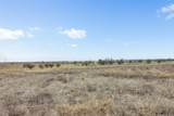 2884 Political Rd - Photo 22