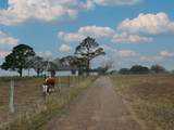 1696 Fm 884 - Photo 3