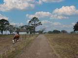 1696 Fm 884 - Photo 4