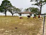 1696 Fm 884 - Photo 6