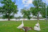 1709 Lake Dr - Photo 33