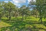 6 Acres County Road 211 - Photo 8
