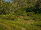 CR 343 Cr 343 - Photo 13