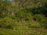 CR 343 Cr 343 - Photo 14