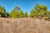 000 Dunbar Rd (Tract 3) Rd - Photo 8