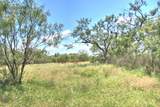 TBD Cr 110 Rd - Photo 12
