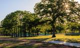 LOT 72--229 Interlaken St, St - Photo 6
