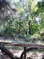 7607 Williamson Creek Dr - Photo 12