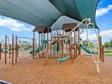 5705 Bellissima Way - Photo 31
