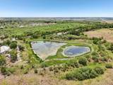 TBD Bluebonnet Rd - Photo 6