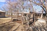12914 Pfluger Berkman Rd - Photo 39