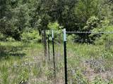 Tract 3D Hwy 95 Highway - Photo 17