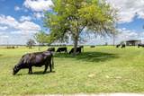 6589 State Highway 304 - Photo 34