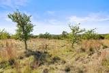 83 Flat Rock Way - Photo 7