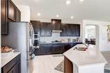 3712 Forino Dr - Photo 15